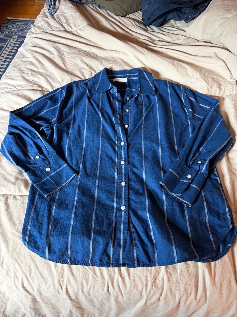 Everlane Blue Vertical-Stripe Button-Down Shirt